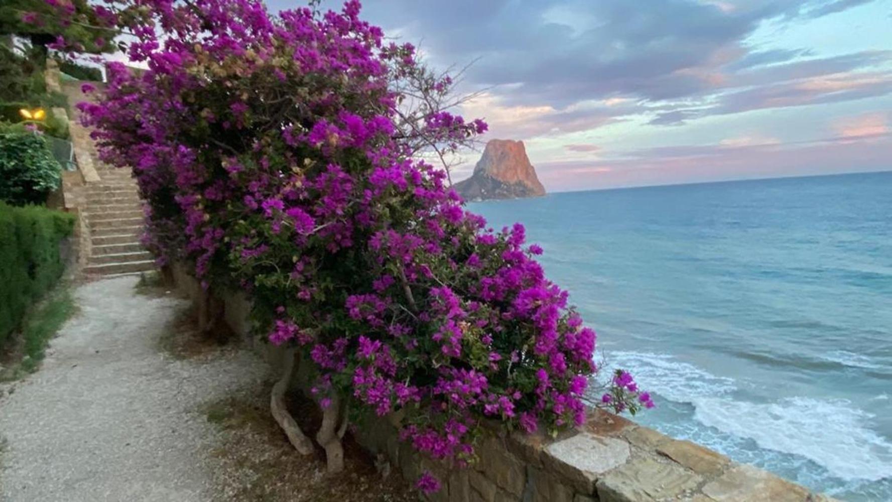Timora Sea View New Apart' Hipocampos Calpe Exterior photo